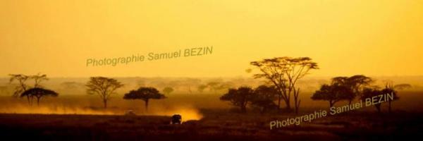 Landscape in Tanzania # 2008-1